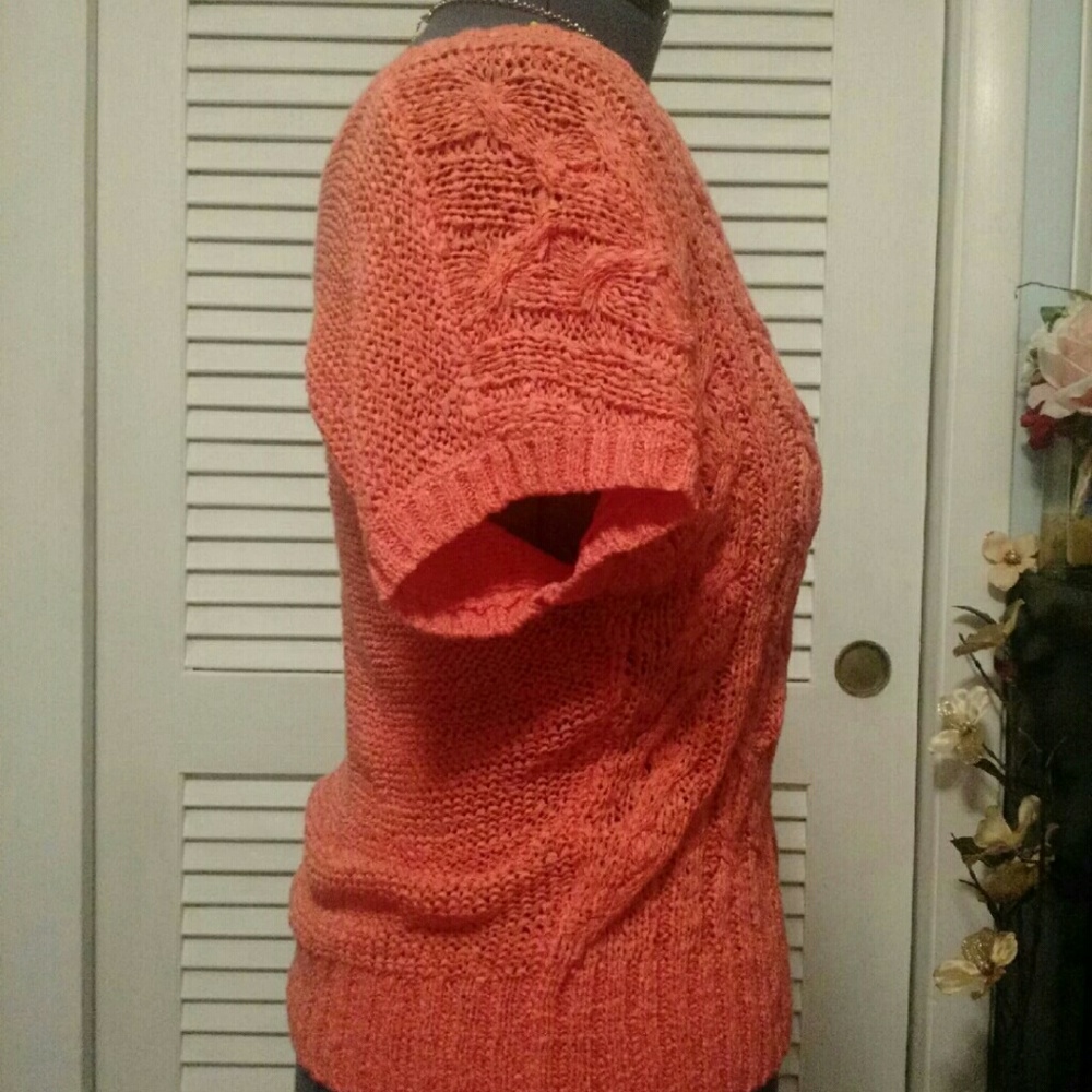 Boat Neck Top - Picture 4 of 4